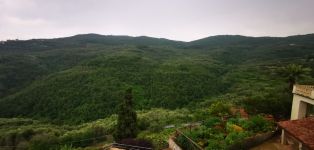 Appartamento in vendita a Pontedassio - Rif. 8493